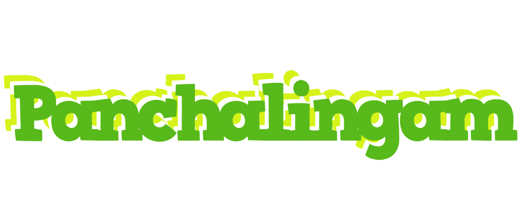 Panchalingam picnic logo