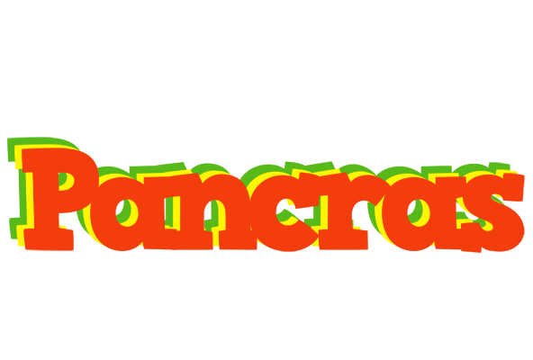 Pancras bbq logo