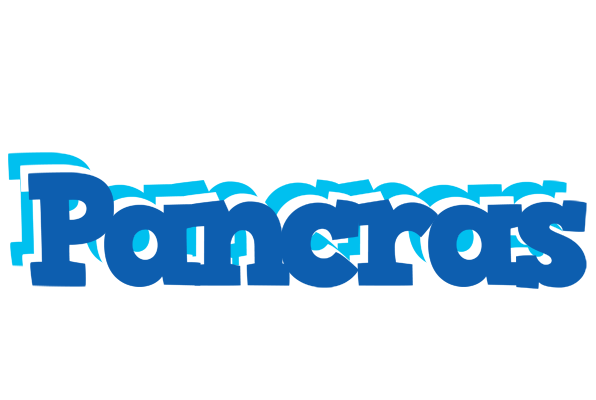 Pancras business logo