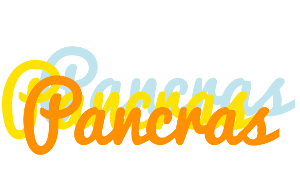 Pancras energy logo