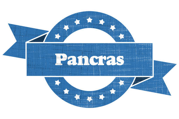 Pancras trust logo