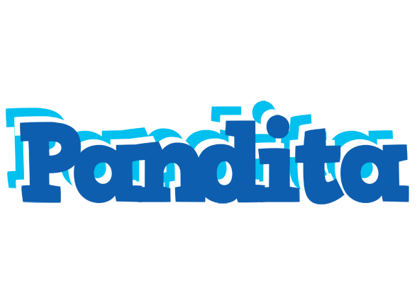Pandita business logo