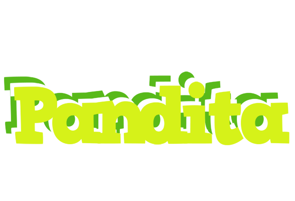 Pandita citrus logo