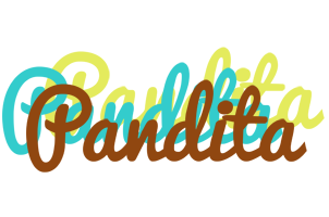 Pandita cupcake logo