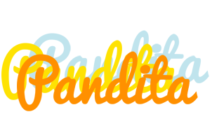 Pandita energy logo