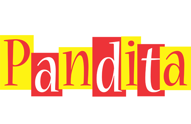 Pandita errors logo
