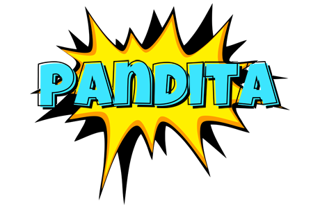 Pandita indycar logo