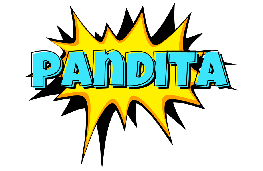 Pandita indycar logo