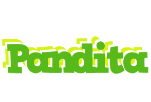 Pandita picnic logo