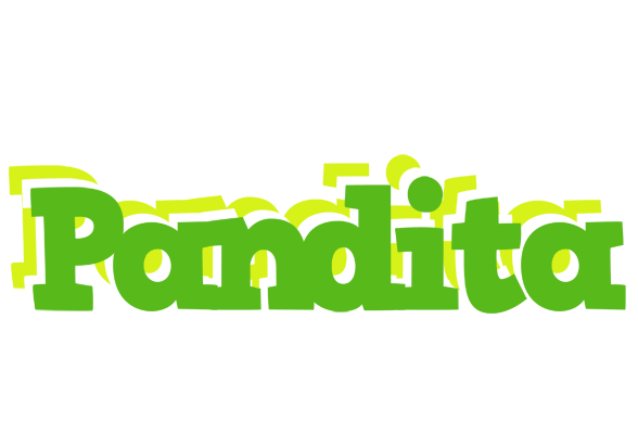 Pandita picnic logo