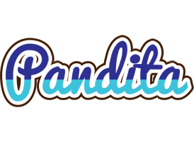 Pandita raining logo