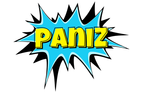 Paniz amazing logo