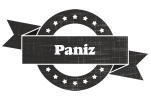 Paniz grunge logo