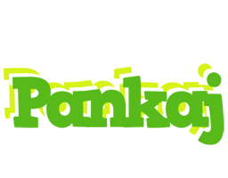 Pankaj picnic logo