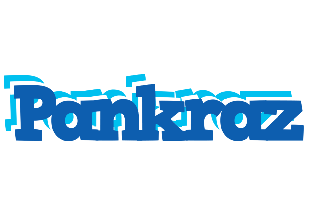 Pankraz business logo
