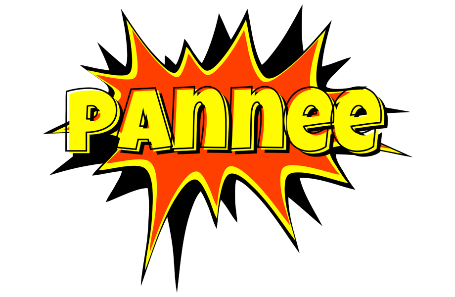 Pannee bazinga logo
