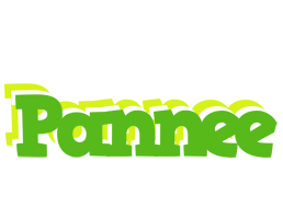 Pannee picnic logo