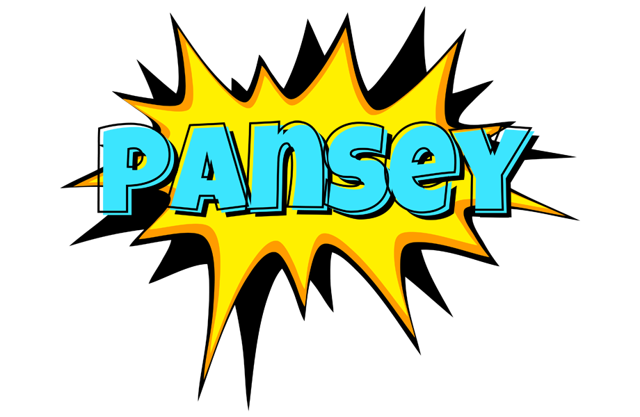 Pansey indycar logo