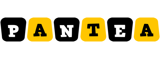Pantea boots logo