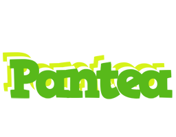 Pantea picnic logo