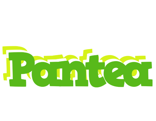 Pantea picnic logo