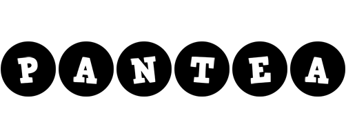 Pantea tools logo