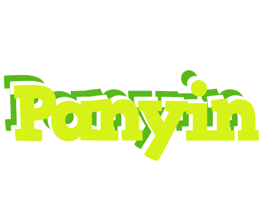 Panyin citrus logo