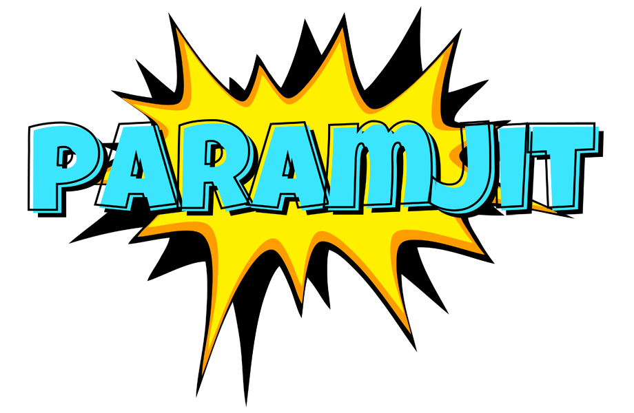 Paramjit indycar logo