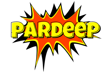Pardeep bazinga logo