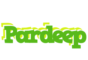 Pardeep picnic logo