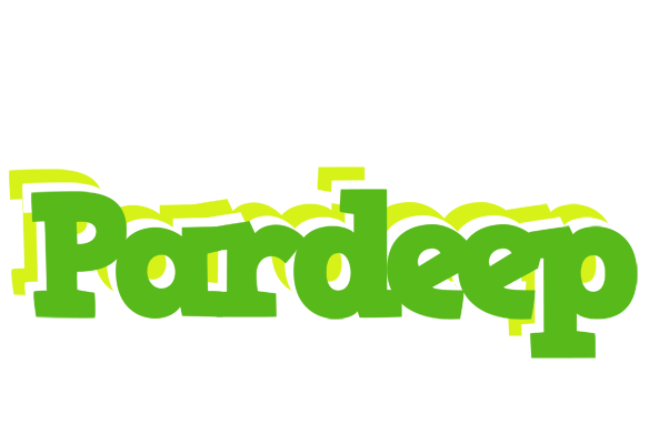 Pardeep picnic logo