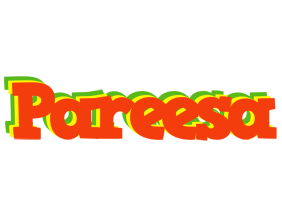 Pareesa bbq logo
