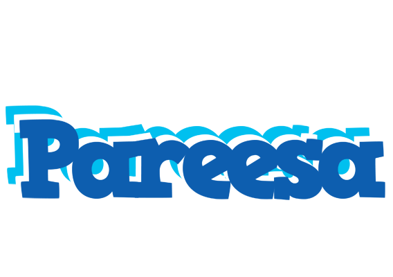 Pareesa business logo