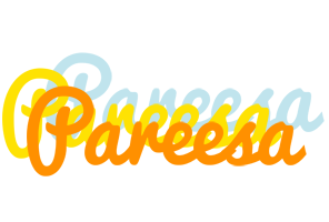 Pareesa energy logo