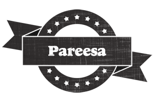 Pareesa grunge logo
