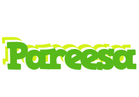 Pareesa picnic logo