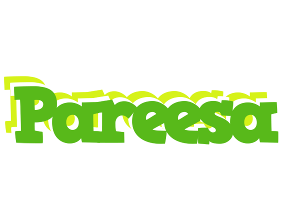 Pareesa picnic logo