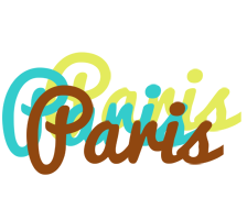 Paris cupcake logo