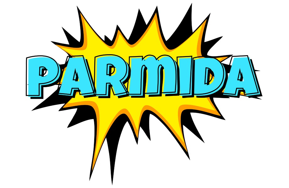 Parmida indycar logo