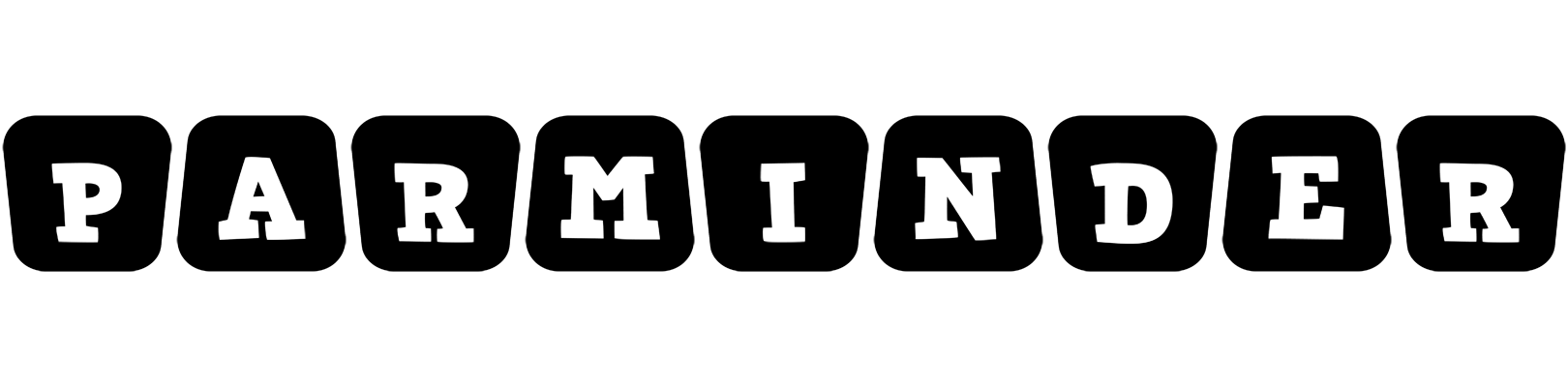 Parminder racing logo