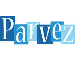 Parvez winter logo