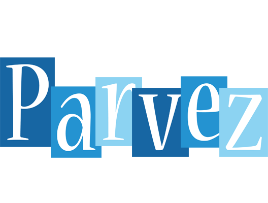 Parvez winter logo