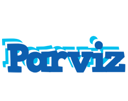 Parviz business logo