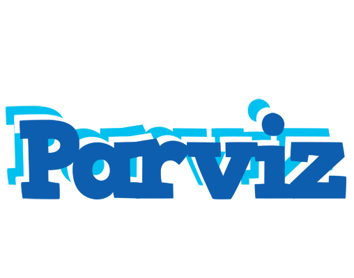 Parviz business logo