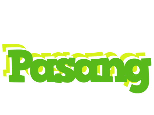 Pasang picnic logo
