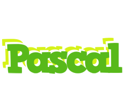 Pascal picnic logo