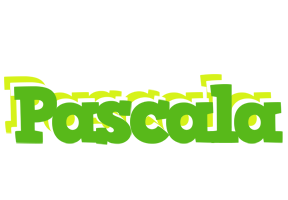 Pascala picnic logo