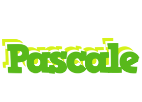 Pascale picnic logo