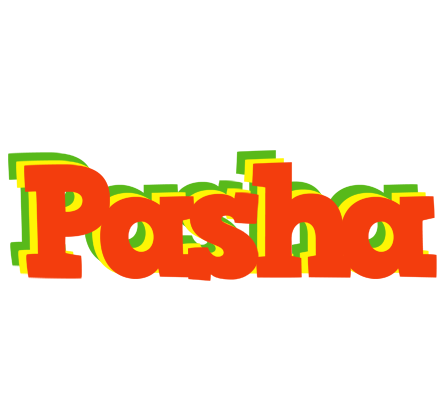 Pasha bbq logo