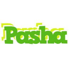 Pasha picnic logo